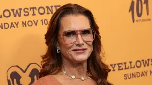 brooke shields heute schauspielerin