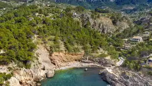 Der Hype um Mallorca nimmt nicht ab