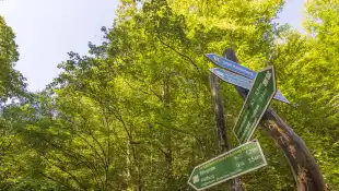 Frau verschwindet beim Wandern