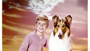 Jon Provost und „Lassie“ in der Serie von 1954