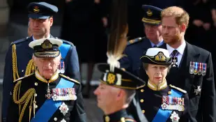 harry charles wahrheit