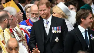 Prinz Harry Royals König Charles