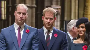 Prinz William Prinz Harry Herzogin Meghan 2018