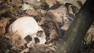 Menschlicher Schädel