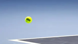 tennisball garten winter trick