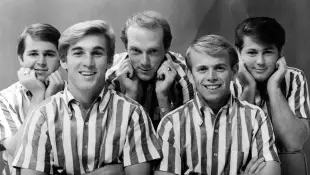 Die Beach Boys: Band Quiz