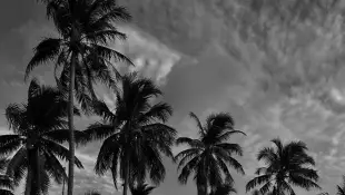 Im knappen Badeanzug posiert Vanessa Mai am Strand