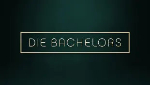 "Die Bachelors"-Logo