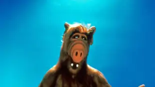 Außerirdischer „Alf“