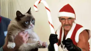 Schlechte Weihnachtsfilme, Hulk Hogan, Grumpy Cat