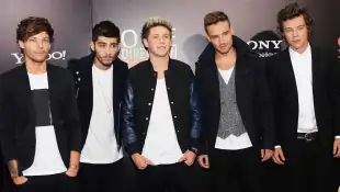 louis tomlinson zayn malik niall horan liam payne harry styles one direction