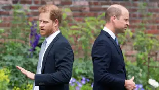 Prinz Harry und Prinz William