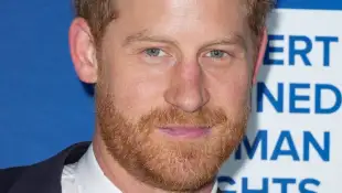 Prinz Harry Live-Stream biografie