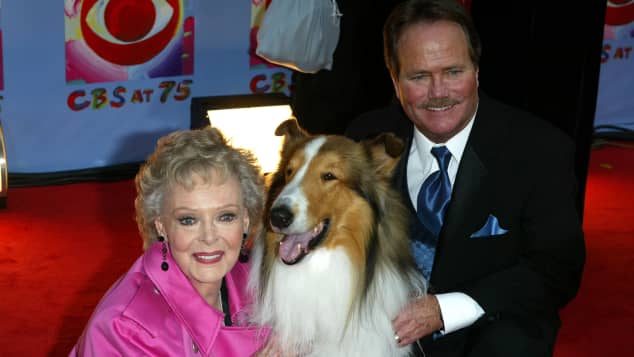 Lassie So Sieht Jon Provost Heute Aus