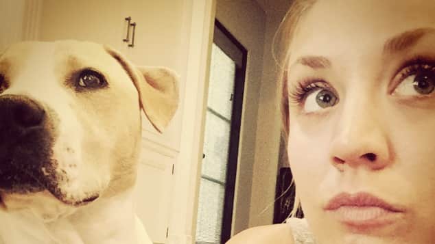 Kaley Cuoco Darum Heisst Ihr Instagram Account Norman Cook Not only is it equestrian friendly but also sleek and made for kaley cuoco via instagram: instagram account norman cook