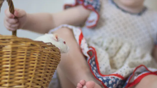 Baby mit Ratte