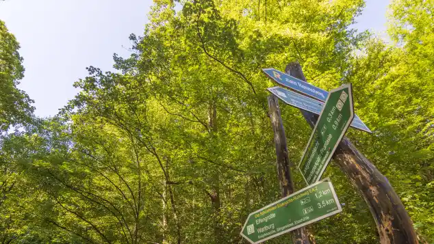 Frau verschwindet beim Wandern