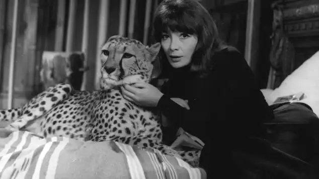 Juliette Gréco