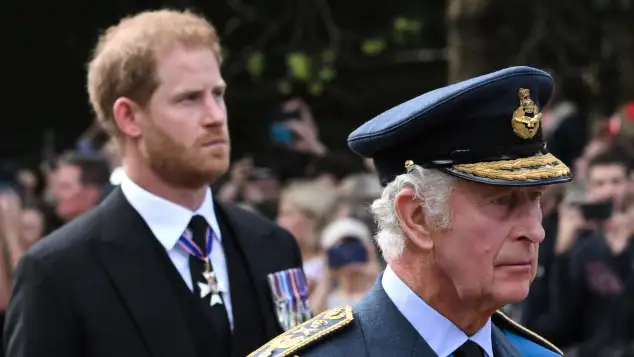 Prinz Harry und König Charles