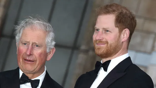 Prinz Harry und König Charles