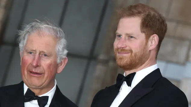 Prinz Harry und König Charles