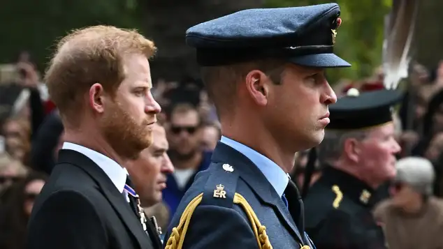 Prinz Harry und Prinz William