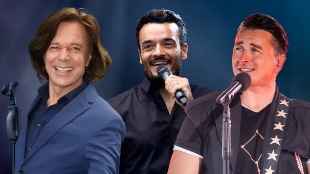 Schlager König Abstimmung