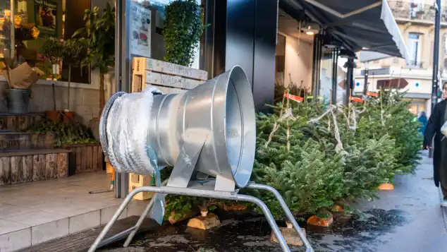 Symbolbild Weihnachtsbaum
