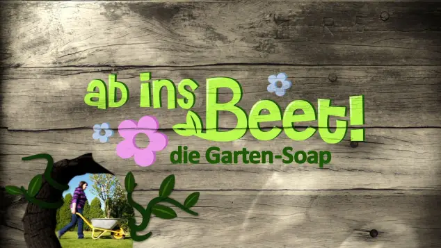 "Ab ins Beet"-Cover