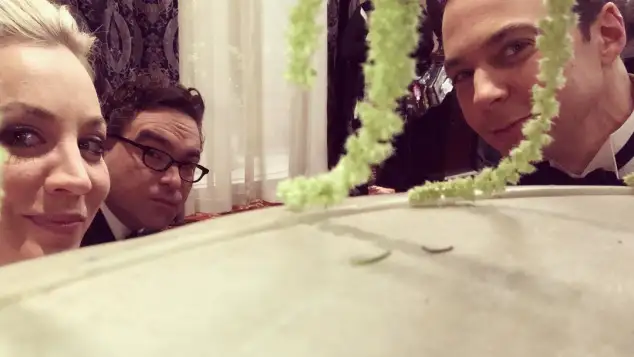 „The Big Bang Theory“: „Sheldons“ Hochzeit