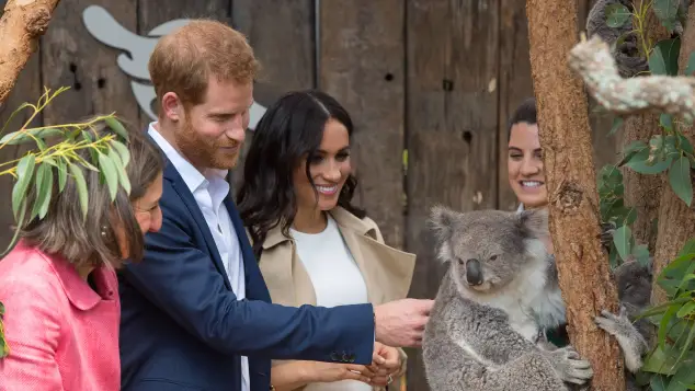 Herzogin Meghan, Prinz Harry und ein Koala
