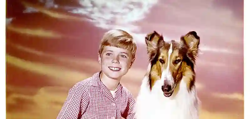 Jon Provost und Lassie in der Serie von 1954