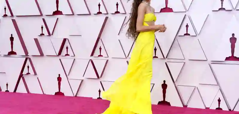 93rd Annual Academy Awards - Arrivals