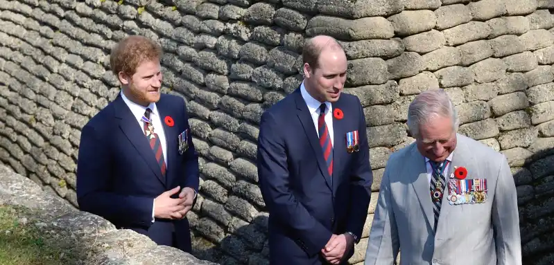 König Charles und Prinz William müssen nun an einem Strang ziehen.