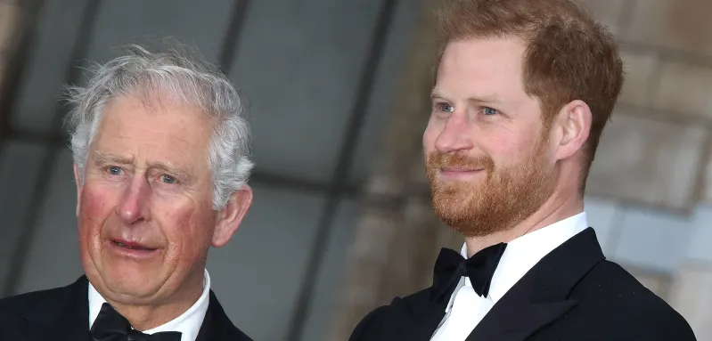 Prinz Harry und König Charles