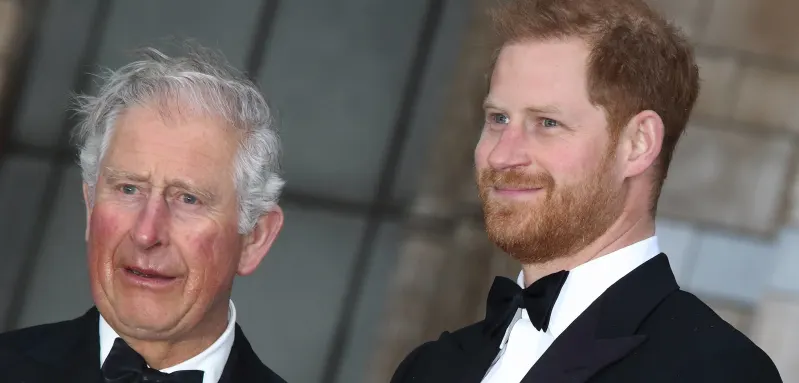 Prinz Harry und König Charles