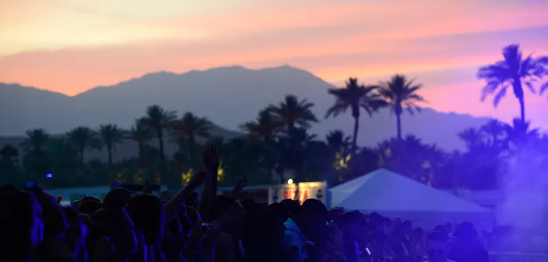 Coachella Festival