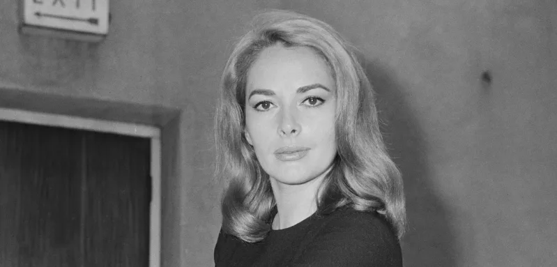 karin dor