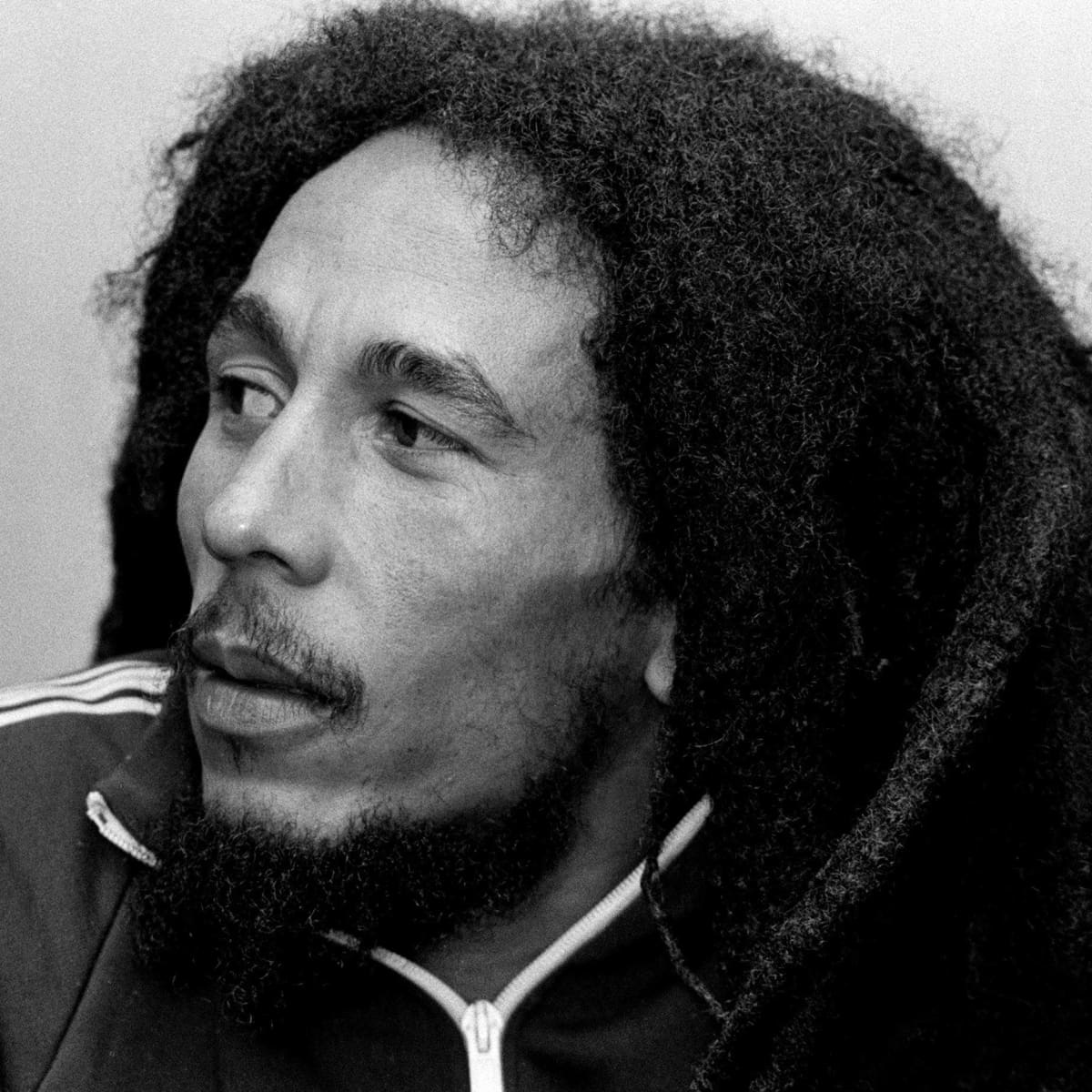 bob marley steckbrief news und bilder promipool