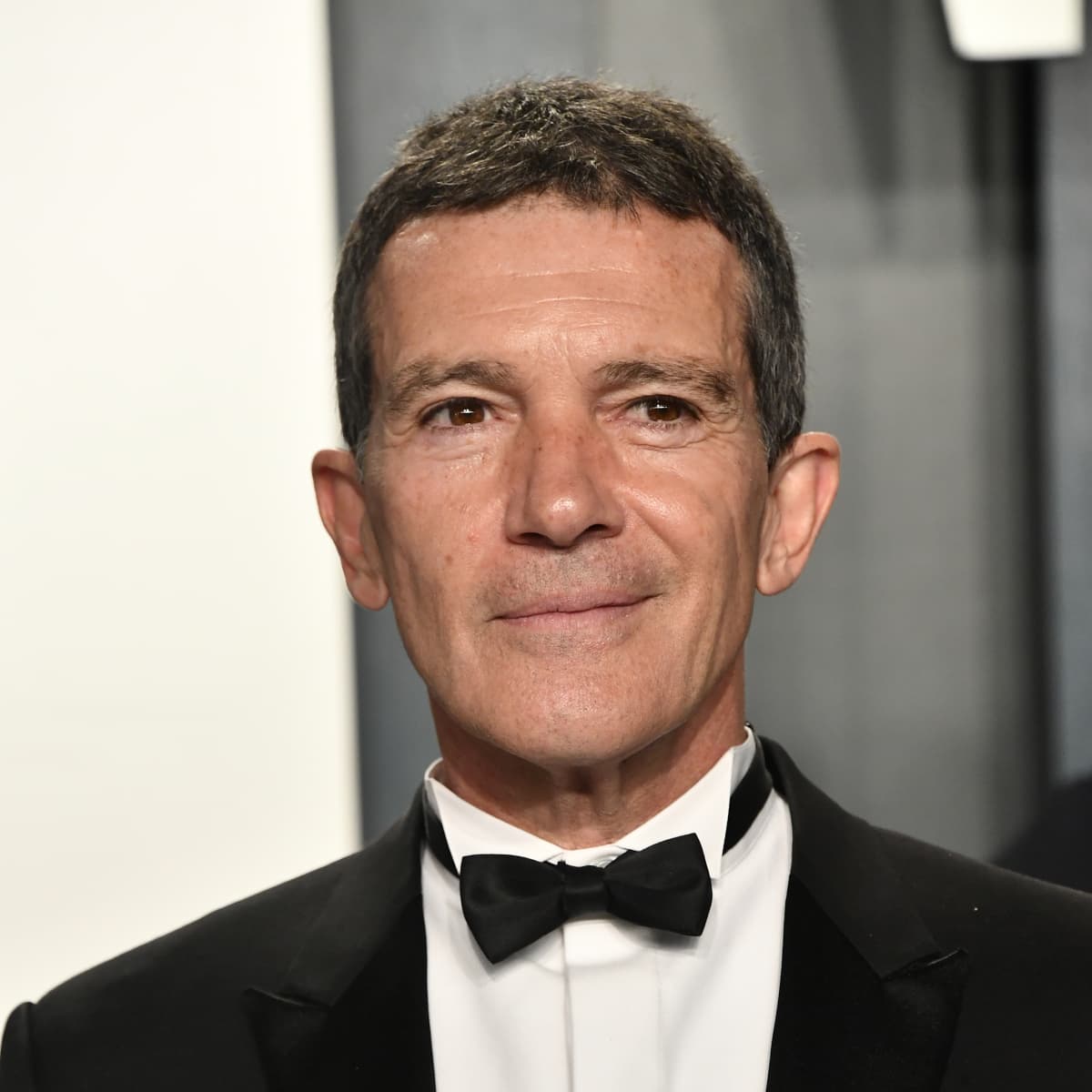 Antonio Banderas Steckbrief News Und Bilder Promipool