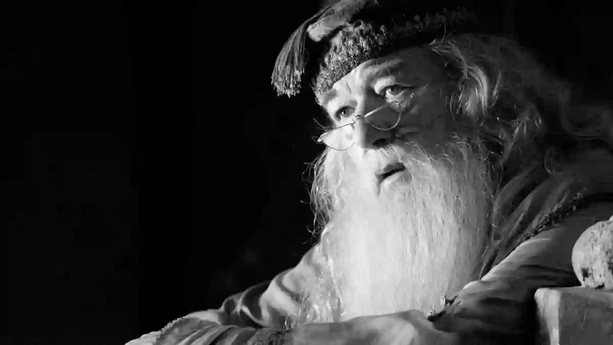 dumbledore michael gambon harry potter