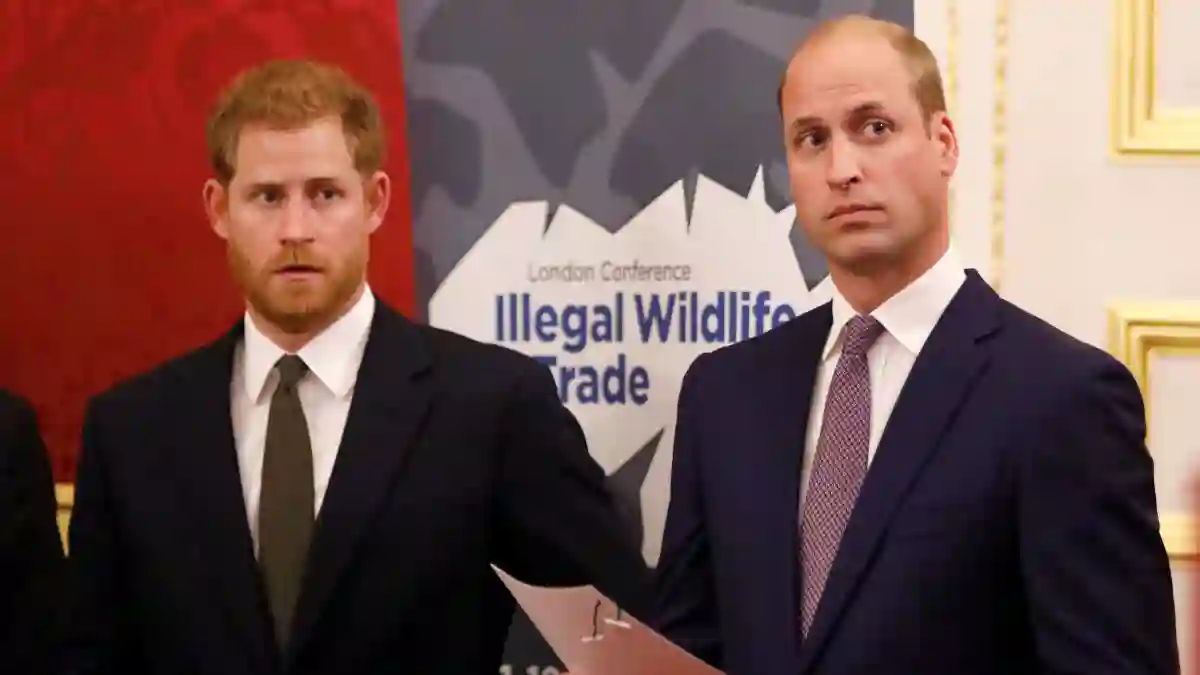 Prinz William und Prinz Harry