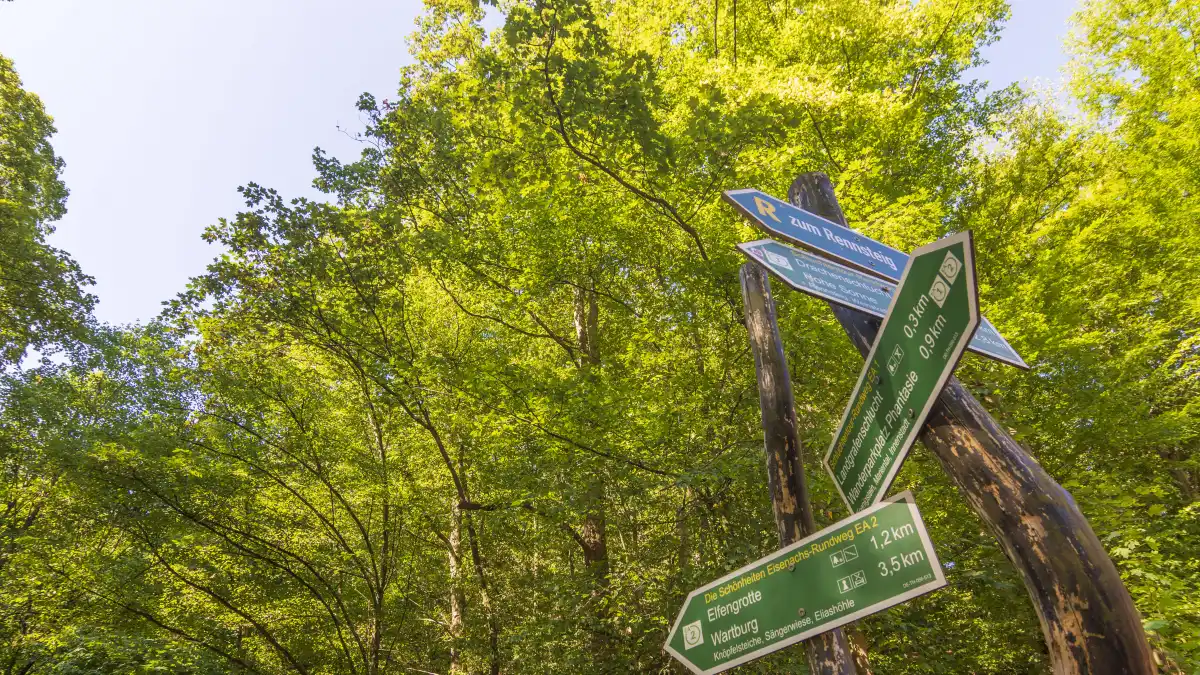Frau verschwindet beim Wandern