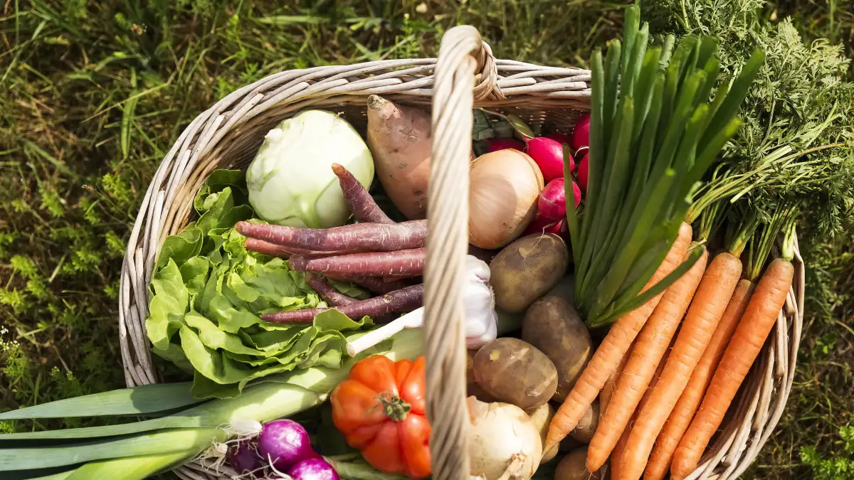 gemüse gesund giftig