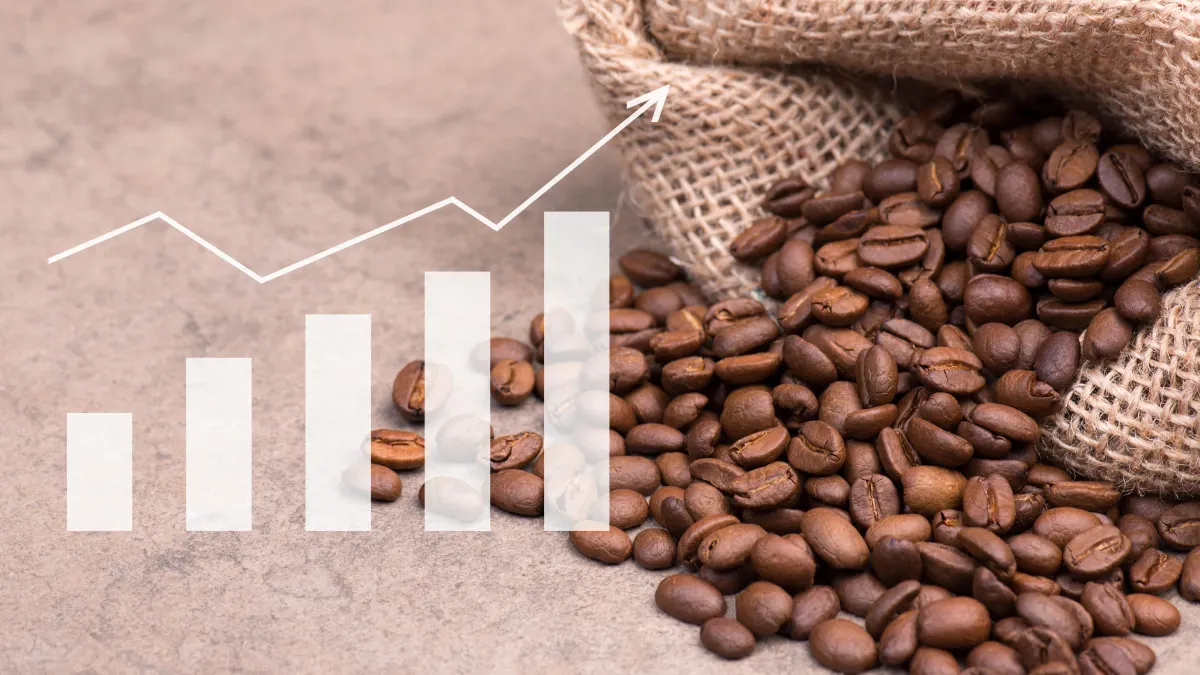 Die Preise für Kaffeebohnen steigen