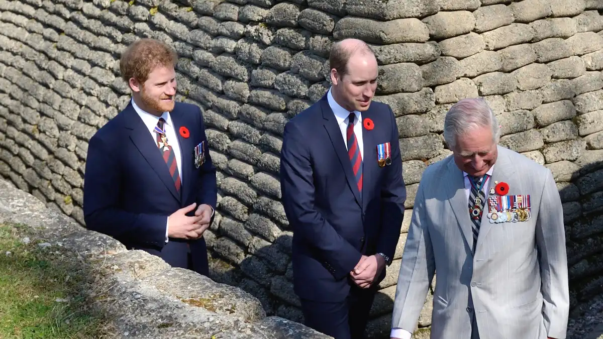 König Charles und Prinz William müssen nun an einem Strang ziehen.