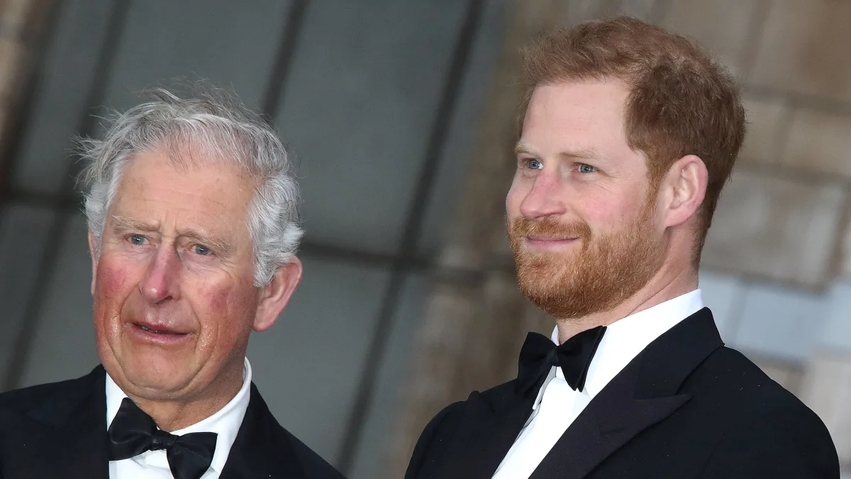 Prinz Harry und König Charles