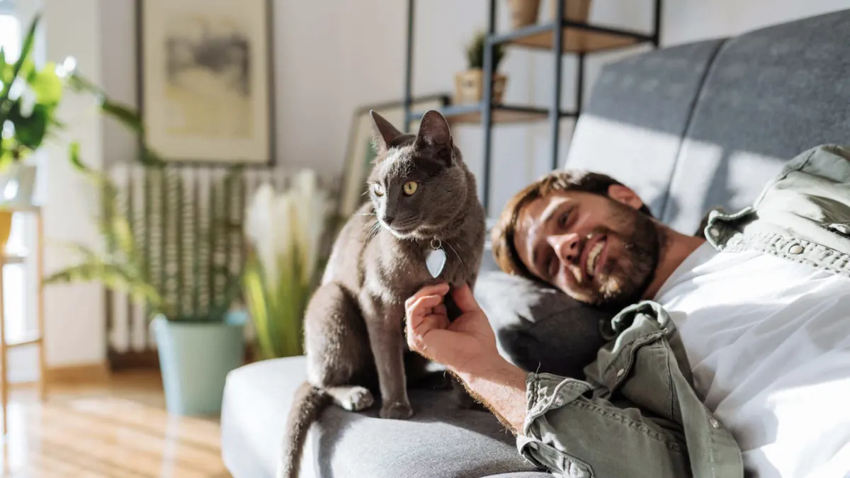 Neue Studie zu „Cat Dads“: Männer mit Katze gelten als fürsorglich, empathisch und beim Dating oft als positives Signal.