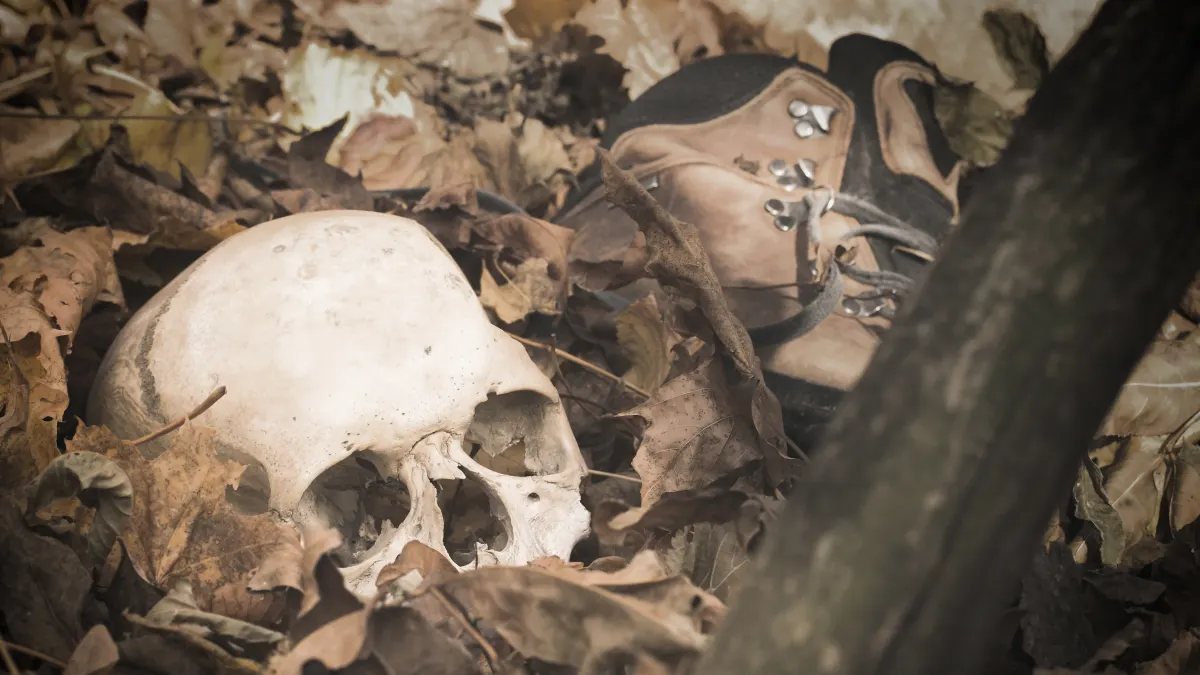 Menschlicher Schädel