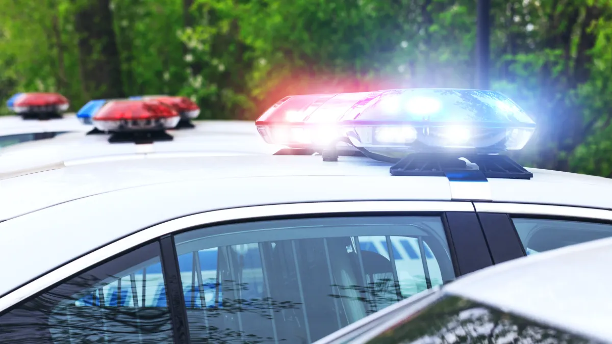 symbolbild amerikanische polizei blaulicht sirenen